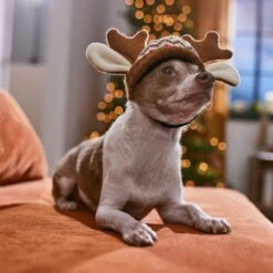 Frisco Antler Fair Isle Dog & Cat Hat 12 Frisco Antler Fair Isle Dog & Cat Hat -Hot Sale Pet Supplies 358313 PT4. AC SS1800 V1661798696