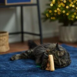 Frisco Holiday Santa's List Plush & Feather Cat Toy With Catnip -Hot Sale Pet Supplies 360895 PT3. AC SS1800 V1661874361