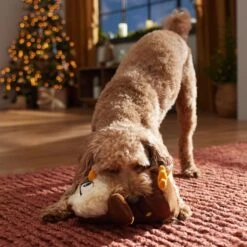 Frisco Holiday Festive Owl Plush Squeaky Dog Toy -Hot Sale Pet Supplies 360919 PT3. AC SS1800 V1661874361