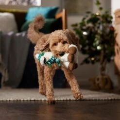 Frisco Holiday Fa La La Llama Plush Squeaky Dog Toy -Hot Sale Pet Supplies 360924 PT3. AC SS1800 V1661874373
