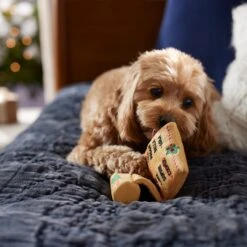 Frisco Holiday Santa's List Plush & TPR Inside Dog Toy 9 Frisco Holiday Santa's List Plush & TPR Inside Dog Toy -Hot Sale Pet Supplies 360970 PT3. AC SS1800 V1661874421