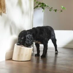 Frisco Elevated Slanted Bamboo Melamine Non-Skid Dog Bowl With Bamboo Stand -Hot Sale Pet Supplies 363387 PT2. AC SS1800 V1657657267