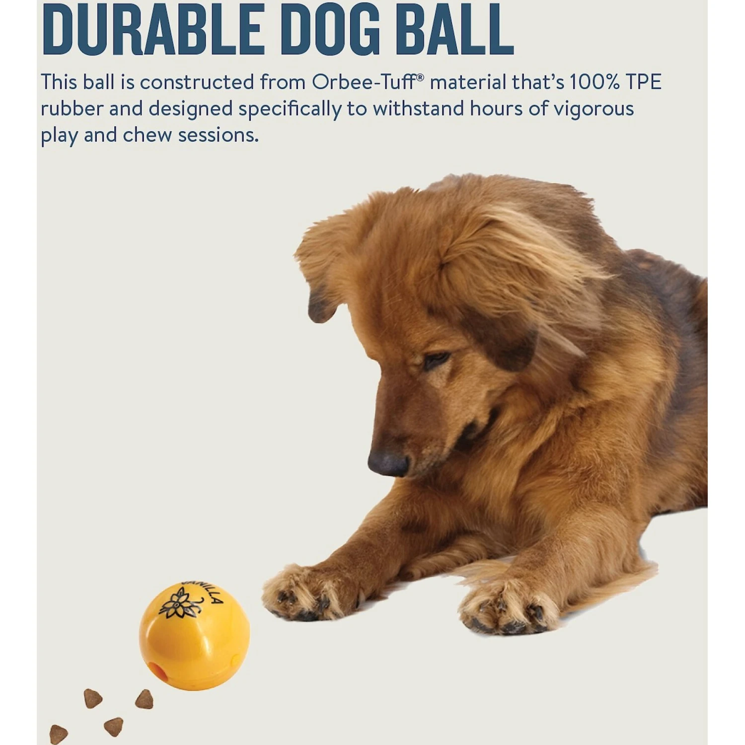 Planet Dog Orbee-Tuff Essentials Vanilla Scented Interactive Dog Ball Treat Dispenser Toy, Yellow 7 Planet Dog Orbee-Tuff Essentials Vanilla Scented Interactive Dog Ball Treat Dispenser Toy, Yellow - Image 5
