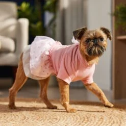 Frisco Tulle Hearts Dog & Cat Dress -Hot Sale Pet Supplies 371070 PT8. AC SS1800 V1700690505