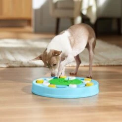 Frisco Seek & Discover Interactive Puzzle Dog Toy, Moderate -Hot Sale Pet Supplies 506250 PT5. AC SS1800 V1674664929