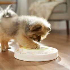 Frisco Tiered Cake Interactive Puzzle Dog Toy, Easy -Hot Sale Pet Supplies 506346 PT5. AC SS1800 V1674666566