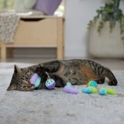 Frisco Fabric & Play Plastic Balls Cat Toy -Hot Sale Pet Supplies 526030 PT3. AC SS1800 V1669148132