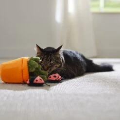 Frisco Spring Potted Plant And Ladybugs Interactive Plush Cat Toy With Catnip -Hot Sale Pet Supplies 541542 PT3. AC SS1800 V1671814448