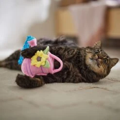 Frisco Spring Watering Can Plush Cat Toy With Catnip 8 Frisco Spring Watering Can Plush Cat Toy With Catnip -Hot Sale Pet Supplies 541558 PT3. AC SS1800 V1671814448