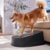 Frisco Plastic Easy Step Cat & Dog Stair -Hot Sale Pet Supplies 542390 MAIN. AC SS1800 V1671829661