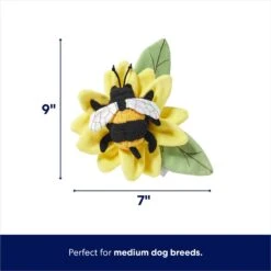 Frisco Spring Sunflower Plush Squeaky Dog Toy 8 Frisco Spring Sunflower Plush Squeaky Dog Toy -Hot Sale Pet Supplies 546766 PT1. AC SS1800 V1672780520