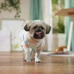 Frisco Vintage Tropical Dog & Cat Pocket T-Shirt -Hot Sale Pet Supplies 556598 PT5. AC SS1800 V1675101997