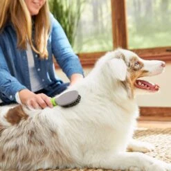 TropiClean Luxury 2 In 1 Papaya & Coconut Pet Shampoo & Conditioner & Frisco Cat & Dog Bristle Brush 17 TropiClean Luxury 2 In 1 Papaya & Coconut Pet Shampoo & Conditioner & Frisco Cat & Dog Bristle Brush -Hot Sale Pet Supplies 575094 PT7. AC SS1800 V1657660395