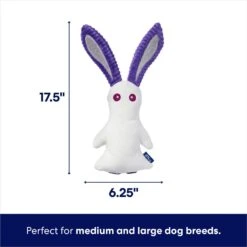 Frisco Halloween Bunny Ghost Plush Squeaky Dog Toy -Hot Sale Pet Supplies 667878 PT1. AC SS1800 V1689271353