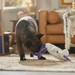 Frisco Halloween Bunny Ghost Plush Squeaky Dog Toy -Hot Sale Pet Supplies 667878 PT3. AC SS1800 V1689340856