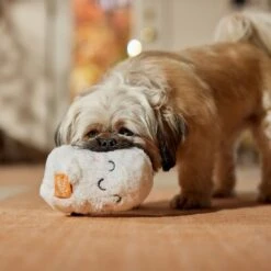 Frisco Halloween Trick Or Treat Ghost Plush Squeaky Dog Toy -Hot Sale Pet Supplies 667974 PT3. AC SS1800 V1689350978