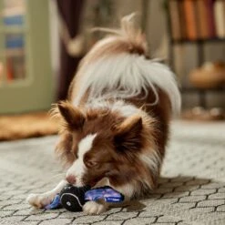 Frisco Halloween Bat Fetch Squeaky Tennis Ball Dog Toy -Hot Sale Pet Supplies 668278 PT3. AC SS1800 V1689350166