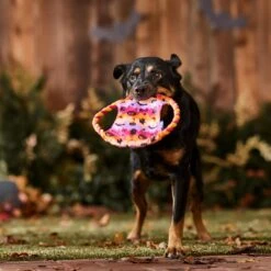 Frisco Halloween Ghost Swirl Fetch Flyer Dog Toy -Hot Sale Pet Supplies 668294 PT3. AC SS1800 V1689278363