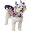 Frisco Dragon Dog & Cat Costume Accessory -Hot Sale Pet Supplies 706582 MAIN. AC SS1800 V1689271214
