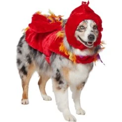 Frisco Flying Phoenix Dog & Cat Costume 12 Frisco Flying Phoenix Dog & Cat Costume -Hot Sale Pet Supplies 708150 PT3. AC SS1800 V1691084928