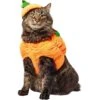 Frisco Pumpkin Ball Dog & Cat Costume -Hot Sale Pet Supplies 708902 MAIN. AC SS1800 V1689351821