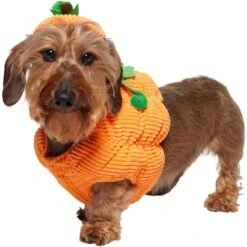 Frisco Pumpkin Ball Dog & Cat Costume -Hot Sale Pet Supplies 708902 PT2. AC SS1800 V1689351041