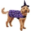 Frisco Cosmic Witch Dog & Cat Costume 1 Frisco Cosmic Witch Dog & Cat Costume -Hot Sale Pet Supplies 708982 MAIN. AC SS1800 V1689282565