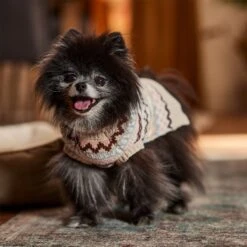 Frisco Sherpa Lined Fairisle Dog & Cat Sweater -Hot Sale Pet Supplies 718422 PT7. AC SS1800 V1692378098