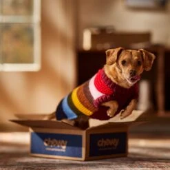 Frisco Chunky Knit Multi-Stripe Dog & Cat Sweater -Hot Sale Pet Supplies 718662 PT7. AC SS1800 V1692378219