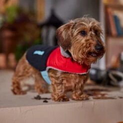 Frisco Medium Weight Retro Colorblock Mixed Media Dog & Cat Coat -Hot Sale Pet Supplies 719462 PT7. AC SS1800 V1692379031