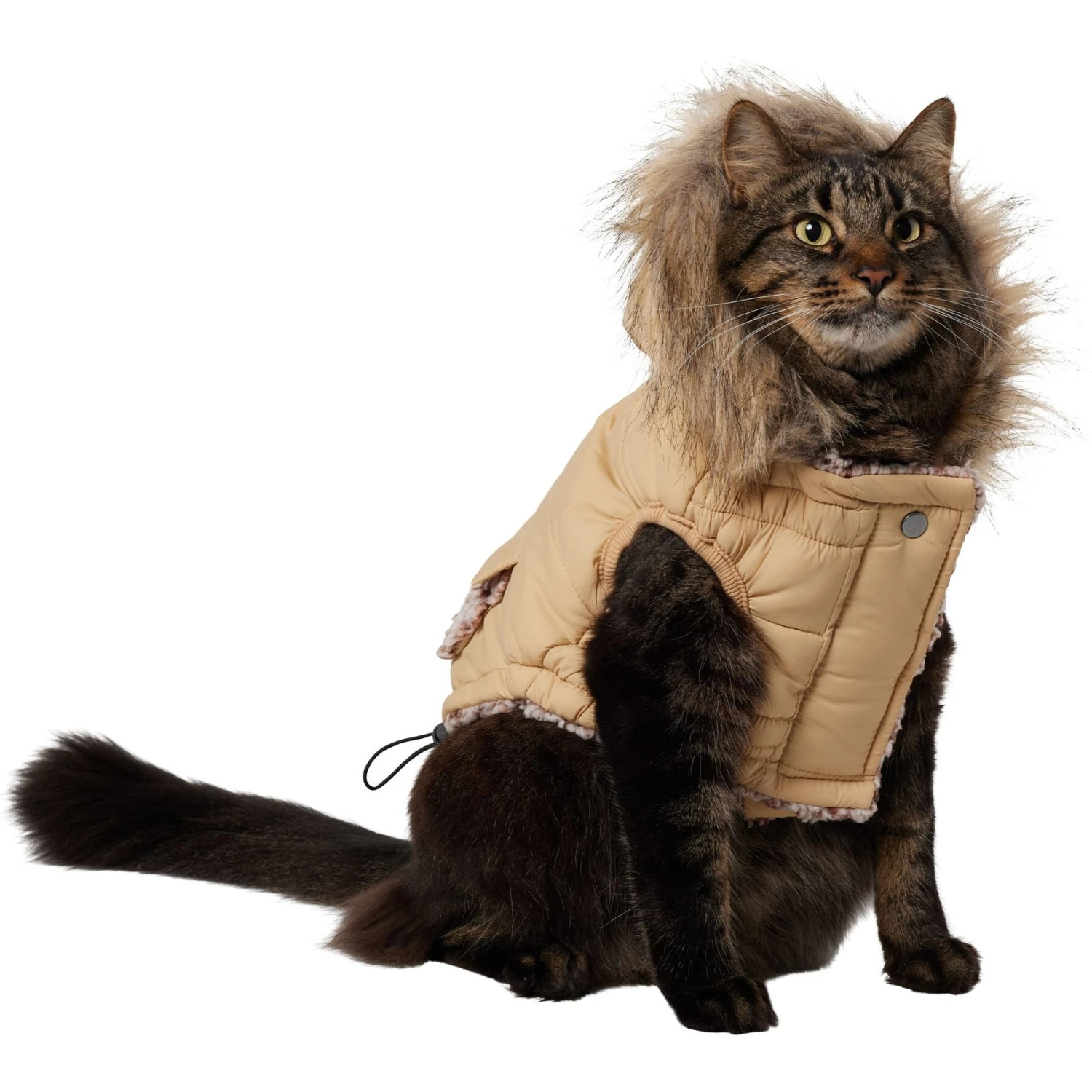 Frisco Heavy Weight Matte Quilted Dog & Cat Parka With Cozy Fleece Lining 3 Frisco Heavy Weight Matte Quilted Dog & Cat Parka With Cozy Fleece Lining