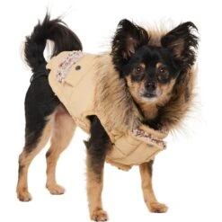 Frisco Heavy Weight Matte Quilted Dog & Cat Parka With Cozy Fleece Lining 13 Frisco Heavy Weight Matte Quilted Dog & Cat Parka With Cozy Fleece Lining -Hot Sale Pet Supplies 719654 PT2. AC SS1800 V1703184629