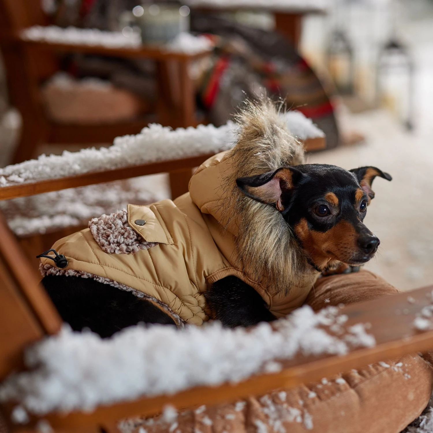 Frisco Heavy Weight Matte Quilted Dog & Cat Parka With Cozy Fleece Lining 10 Frisco Heavy Weight Matte Quilted Dog & Cat Parka With Cozy Fleece Lining - Image 8