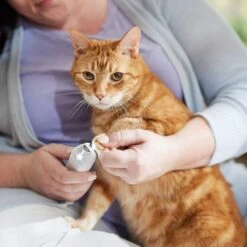 Rechargeable Cordless Cat & Dog 3-Speed Nail Grinder, White -Hot Sale Pet Supplies 729774 PT5. AC SS1800 V1683147135