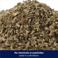 Frisco Natural Catnip & Hartz Cattraction Silver Vine & Catnip Gator Cat Scratcher Toy, Color Varies -Hot Sale Pet Supplies 737470 PT3. AC SS1800 V1683212146