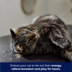 Frisco Natural Catnip & Hartz Cattraction Silver Vine & Catnip Gator Cat Scratcher Toy, Color Varies -Hot Sale Pet Supplies 737470 PT4. AC SS1800 V1683212147