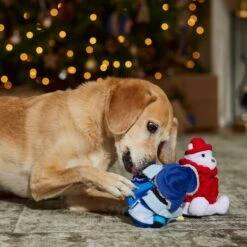 Frisco Holiday Arctic Buddies 2-in-1 Rip For Surprise Plush & Rubber Dog Toy -Hot Sale Pet Supplies 739718 PT3. AC SS1800 V1694812848