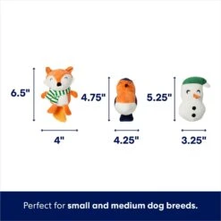 Frisco Holiday Melting Snow Globe Hide & Seek Puzzle Plush Squeaky Dog Toy -Hot Sale Pet Supplies 739910 PT2. AC SS1800 V1694814063