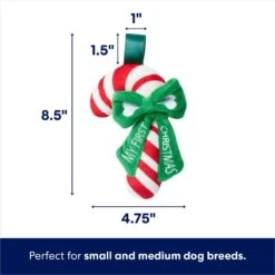 Frisco Holiday My First Christmas Candy Cane Plush Squeaky Puppy Toy 8 Frisco Holiday My First Christmas Candy Cane Plush Squeaky Puppy Toy -Hot Sale Pet Supplies 739942 PT1. AC SS1800 V1695043437