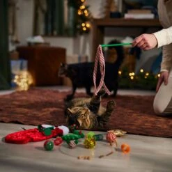 Frisco Holiday Cozy Christmas Sack Variety Pack Cat Toy With Catnip -Hot Sale Pet Supplies 740054 PT3. AC SS1800 V1694812461