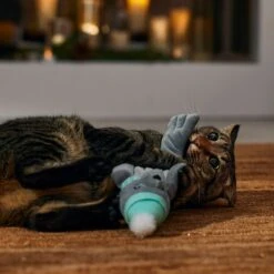 Frisco Holiday Interactive Flopping Seal Electronic Cat Toy With Catnip 12 Frisco Holiday Interactive Flopping Seal Electronic Cat Toy With Catnip -Hot Sale Pet Supplies 740102 PT4. AC SS1800 V1695043876