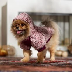 Frisco Textured Wubby 2-Tone Fleece Dog & Cat Hoodie -Hot Sale Pet Supplies 742406 PT7. AC SS1800 V1692378336