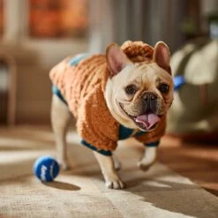 Frisco Wubby Textured Fleece Dog & Cat Hoodie W/ Pocket -Hot Sale Pet Supplies 742510 PT7. AC SS1800 V1692377765