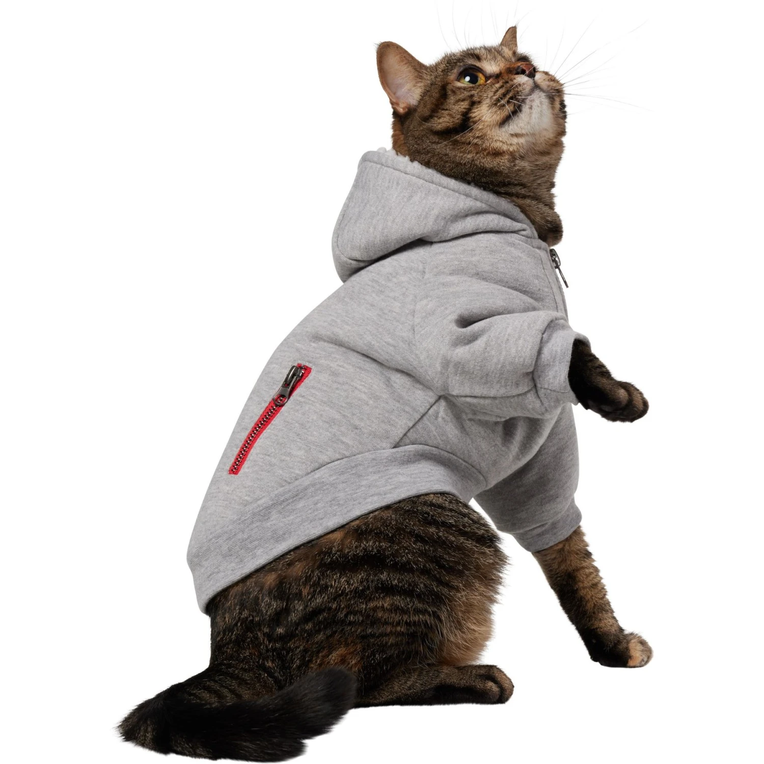 Frisco Sweatshirt Fleece Dog & Cat Hoodie With Sherpa Lining 3 Frisco Sweatshirt Fleece Dog & Cat Hoodie With Sherpa Lining