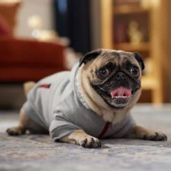 Frisco Sweatshirt Fleece Dog & Cat Hoodie With Sherpa Lining 18 Frisco Sweatshirt Fleece Dog & Cat Hoodie With Sherpa Lining -Hot Sale Pet Supplies 742550 PT7. AC SS1800 V1692378690