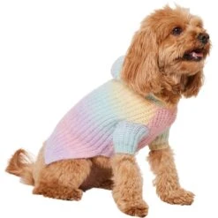Frisco Soft Multi Stripe Ombre Dog & Cat Hooded Sweater -Hot Sale Pet Supplies 742838 PT2. AC SS1800 V1703194379
