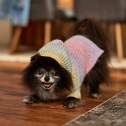 Frisco Soft Multi Stripe Ombre Dog & Cat Hooded Sweater -Hot Sale Pet Supplies 742838 PT7. AC SS1800 V1692376365