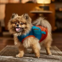 Frisco Light Weight Utility Colorblock Fleece Dog & Cat Vest -Hot Sale Pet Supplies 743030 PT7. AC SS1800 V1692378220