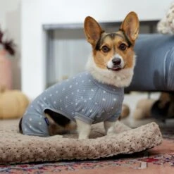 Frisco Cozy Waffle Knit Dog & Cat PJs, Starry Night -Hot Sale Pet Supplies 743134 PT7. AC SS1800 V1692376038