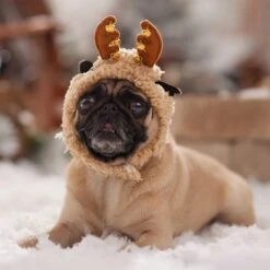 Frisco Sherpa Reindeer Dog & Cat Hat With Bells -Hot Sale Pet Supplies 745646 PT5. AC SS1800 V1694795597